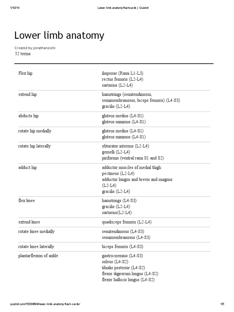 Lower Limb Anatomy Flashcards Quizlet PDF Human Leg Foot