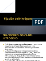 7-FijaciondelNitrogeno