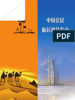 Dubai Guide