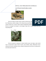 Download Contoh Hewan Di Wilayah Oriental Peralihan Australia by Abby AR SN203380033 doc pdf