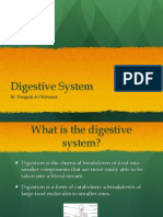 Digestive System