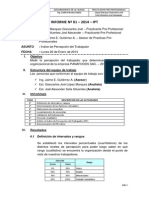 01 Informe Ipt-Panafoods