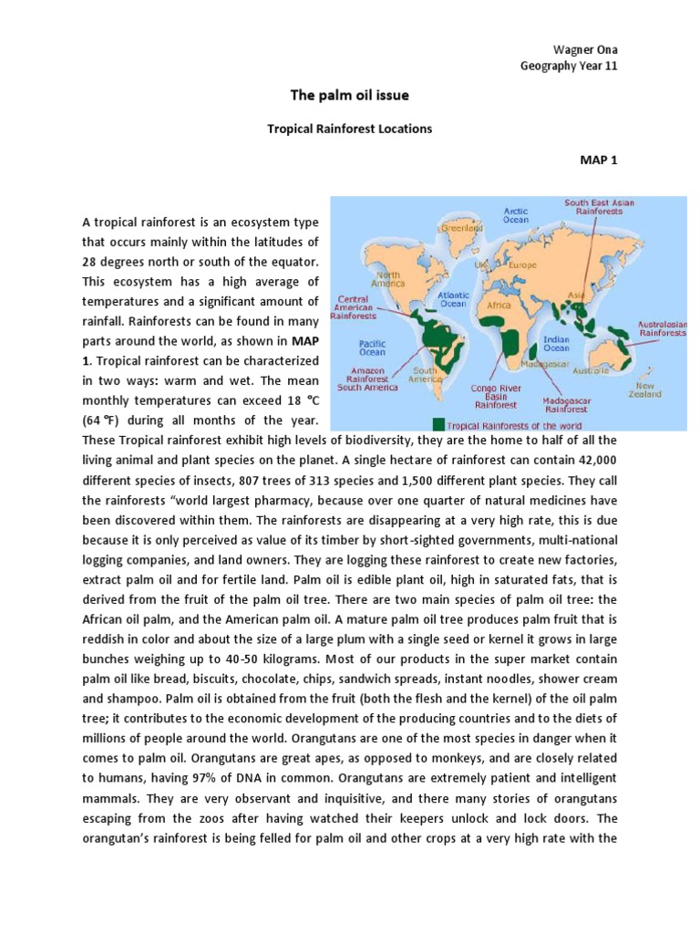 Oil Essays