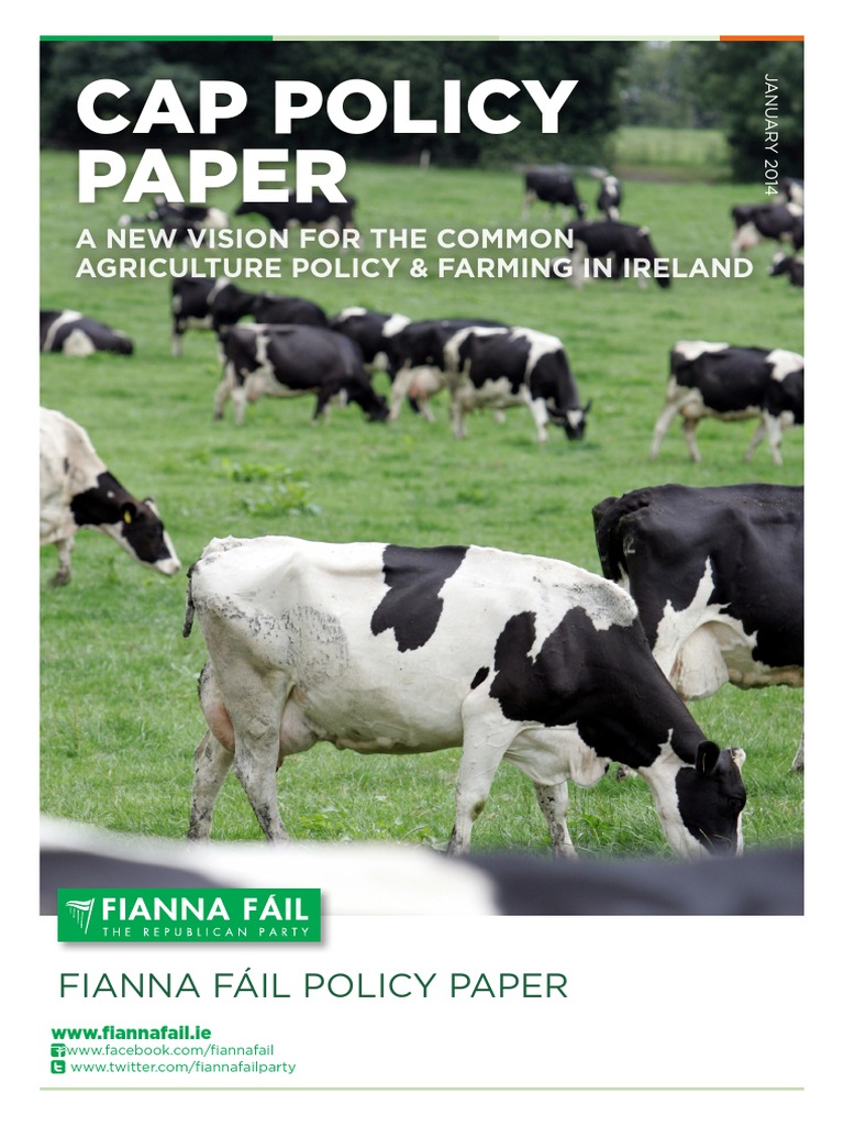 Cap Policy Paper Common Agricultural Policy Agriculture