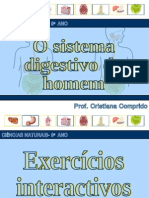 Sistemadigestivoexerccios 090516055249 Phpapp02