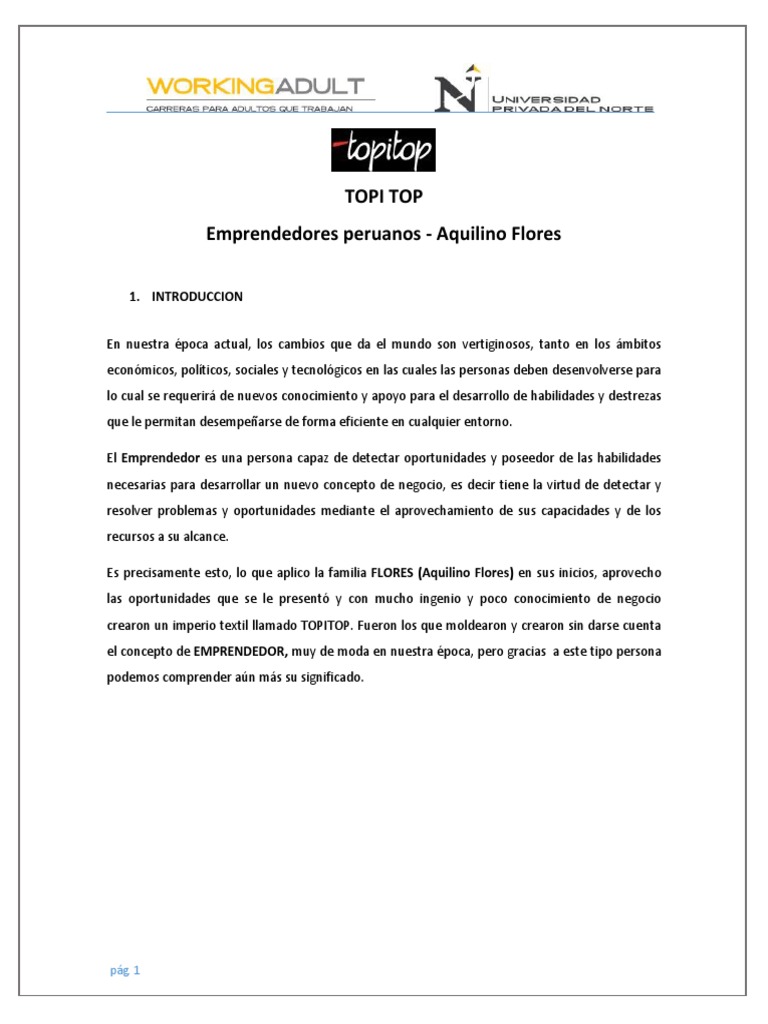 Historia y evolución de Topitop | PDF | Industria textil | Perú