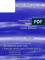 Project on forests 
