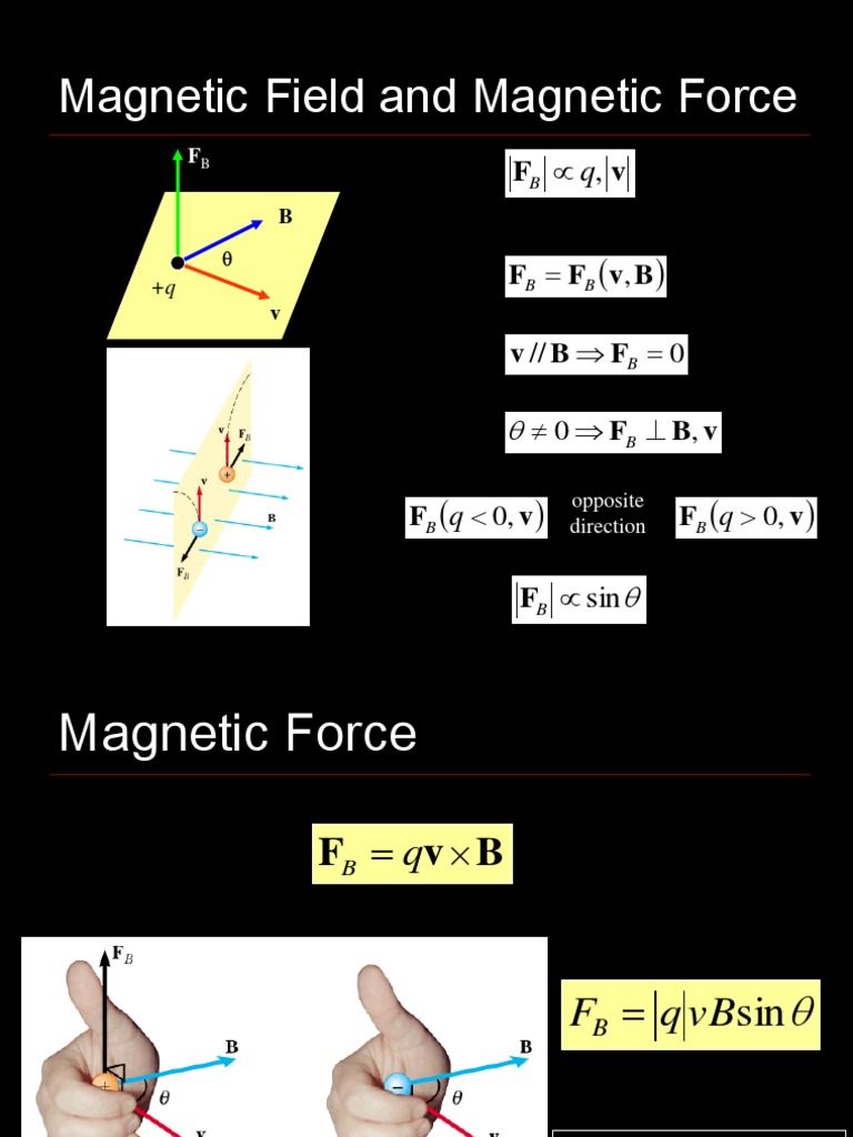 Magnetic Forces and Fields Guide | PDF