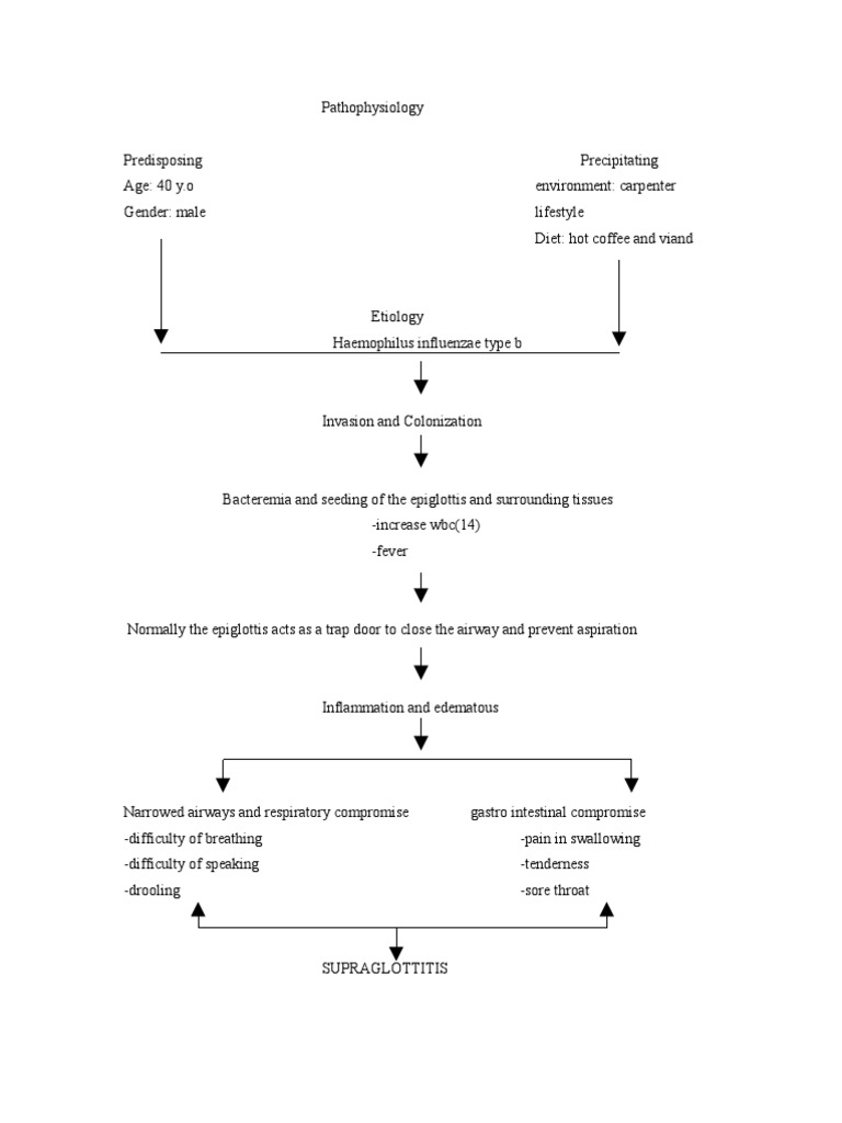Pa Tho Physiology Respiratory Tract Respiratory Diseases