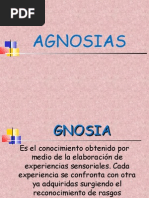 Agnosias