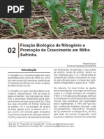 Capítulo 02_1272878516 - FBN