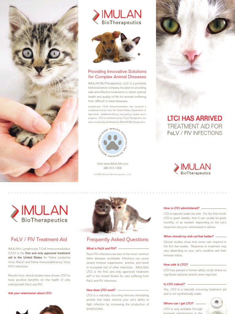 Image showcasing Feline Leukemia Treatment Consumer Brochure | PDF | Veterinary Medicine ...