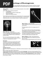 Download Making a Photogram by elalonde SN20350975 doc pdf