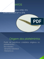 Trabalho de Biologia-Platelmintos