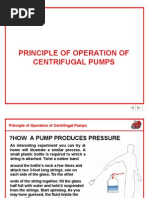 Download Principle of Centrifugal Pumps by visitabhinav SN20353862 doc pdf