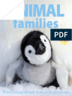 Animal Families.pdf