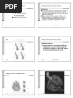 Apresentacao Doenca Arterial Coronariana