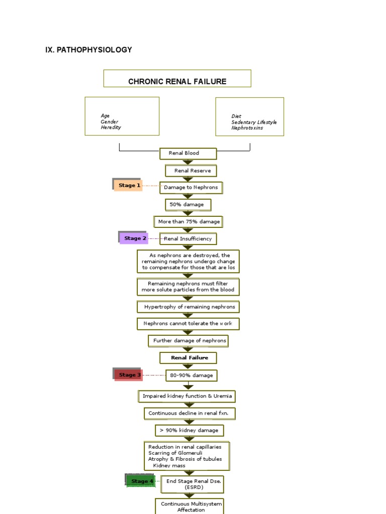 Chronic Renal Failure Pathophysiology | PDF