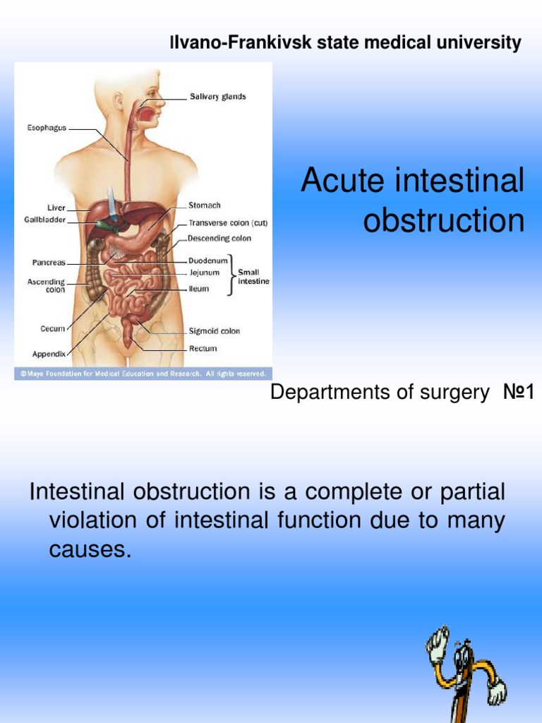 Acute Intestinal Obstruction... Gastrointestinal Tract Gastroenterology