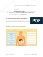 Evaluacic3b3n Ud El Aparato Digestivo