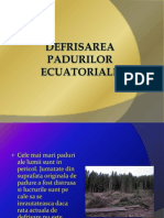 Referat-Prezentare Padurile Ecuatoriale