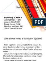 Transport System in Mammals