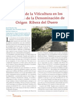 Historia de La Viticultura en Los Territorios de La Denomi