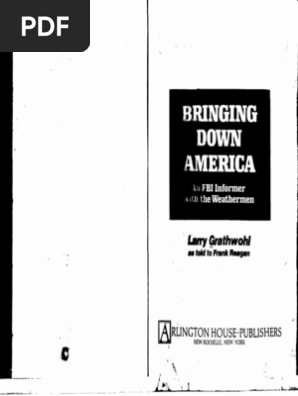 Bringing Down America Politics Violence