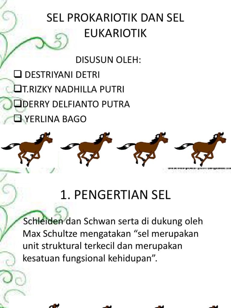  Sel  Prokariotik  dan Eukariotik 