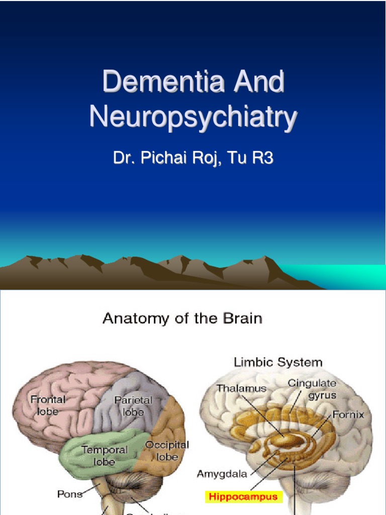 Dementia and Neuropsychiatry | PDF | Dementia | Cerebral Cortex