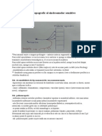 C3 Diag Topografic Al Sdr. Senzitive