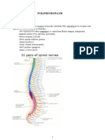 C9 POLINEUROPATII