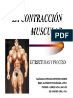 ContraccionMuscular Revisar