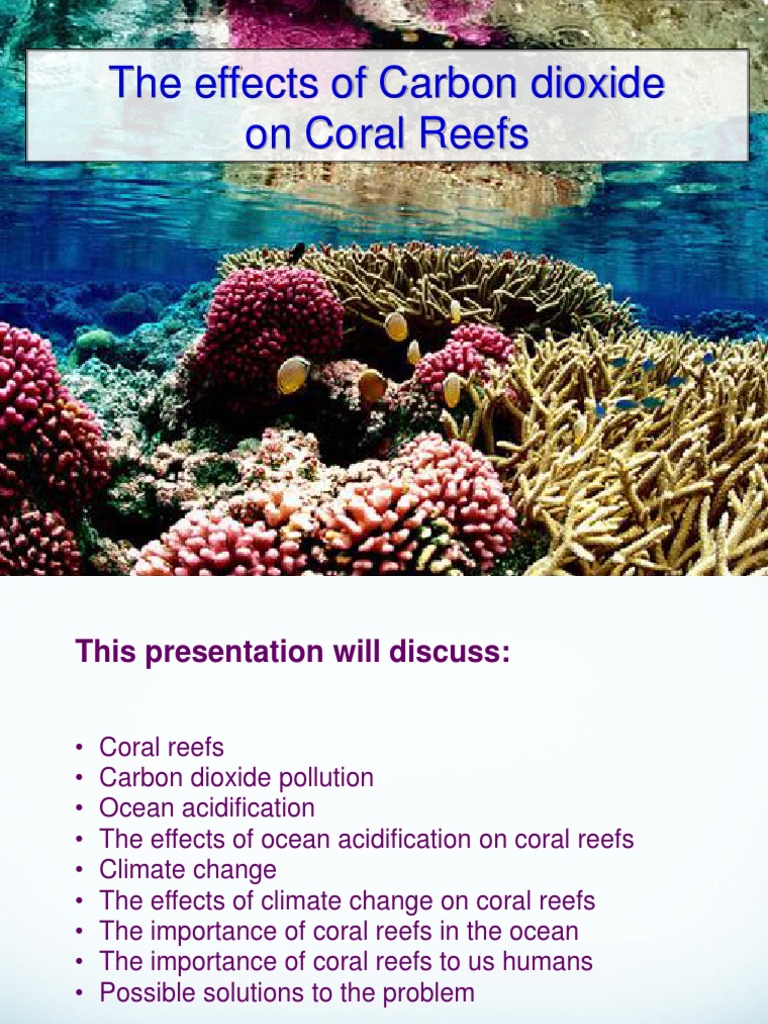 Impact of CO2 on Coral Reefs | PDF | Coral | Ocean Acidification