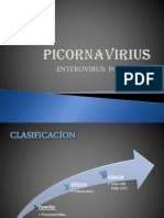 PICORNAVIRIUS.pptx