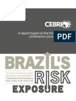 Brazil's Risk Exposure in A More Challenging Global Economic Environment