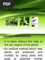 Marcotting: Easy Plant Propagation Guide | PDF | Horticulture | Botany