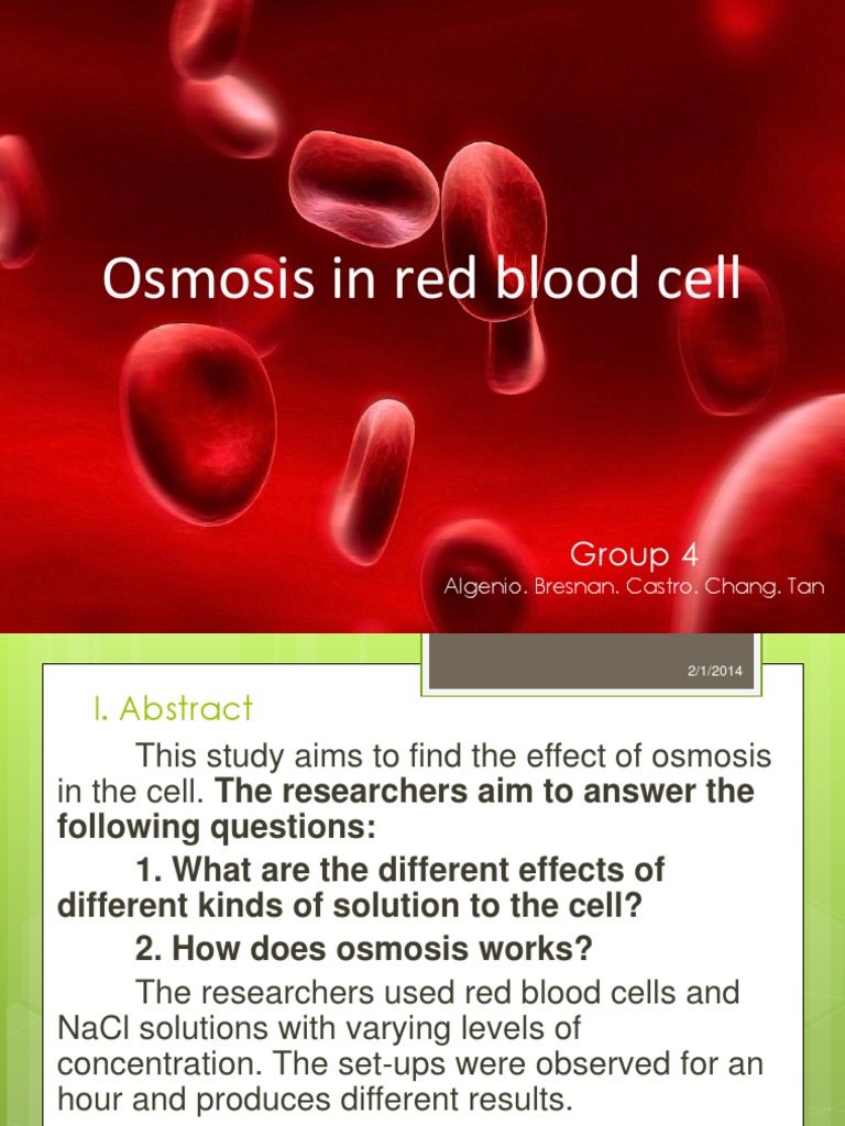 Osmosis in Red Blood Cell (2ndrevision) PDF Osmosis Cell Biology