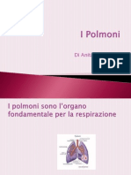 I Polmoni