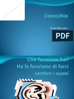 L'orecchio