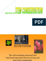 Ecosystem