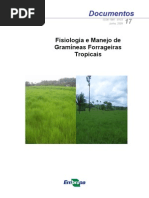 Download Fisiologia e Manejo de Gramneas Forrageiras Tropicais by Newton de Lucena Costa SN20384577 doc pdf