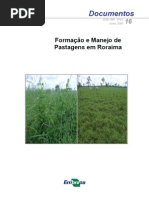 Formação e Manejo de Pastagens em Roraima
