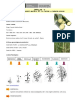 Caña de Azucar - Cartilla 14 Condiciones Agroclimaticas del Cultivo de la Caña de Azucar