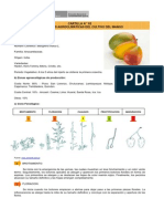 Mango - Cartilla 02 Condiciones Agroclimaticas Del Cultivo Del Mango