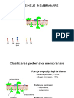 Proteine Membranare 2005 Icon