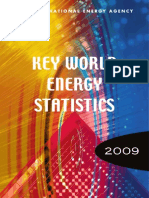  Key World Energy Statistics 2009