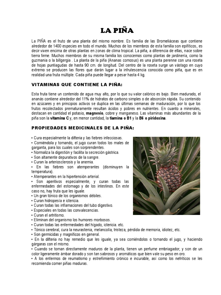 La Piña | PDF | Piña | Productos quimicos