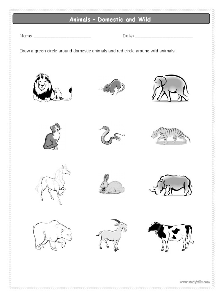 studyhills animals domestic and wild worksheet for grade2 evs pdf