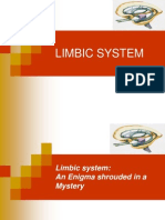 Limbic System